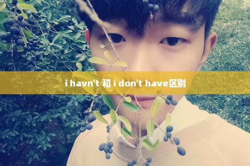 i havn't 和 i don't have区别