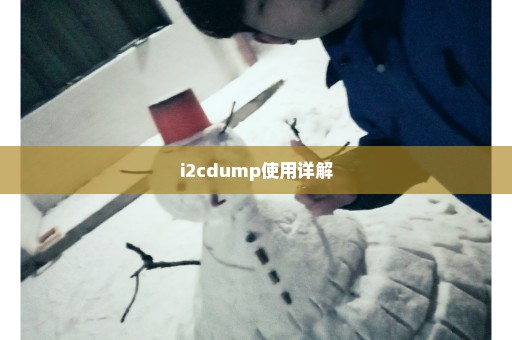 i2cdump使用详解