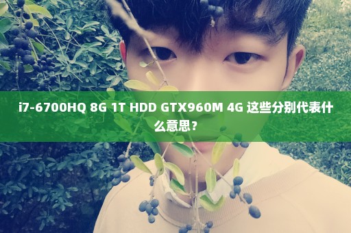 i7-6700HQ 8G 1T HDD GTX960M 4G 这些分别代表什么意思？