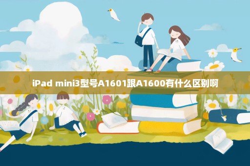 iPad mini3型号A1601跟A1600有什么区别啊