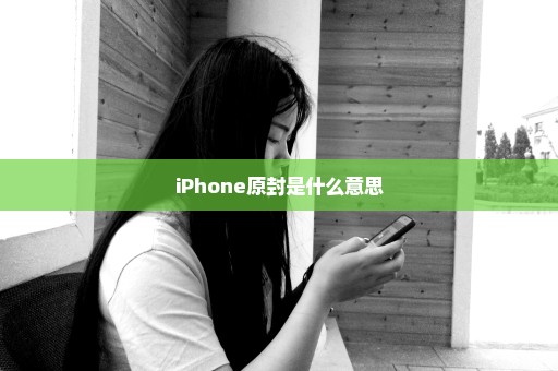 iPhone原封是什么意思