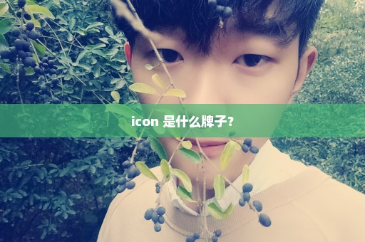 icon 是什么牌子？