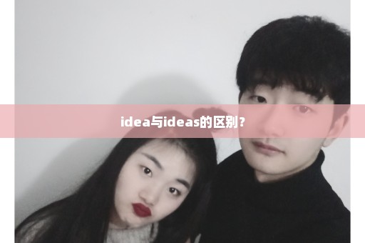 idea与ideas的区别？