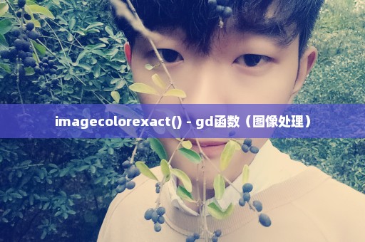 imagecolorexact() - gd函数（图像处理）