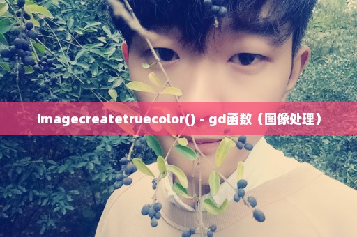 imagecreatetruecolor() - gd函数（图像处理）