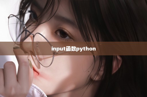 input函数python