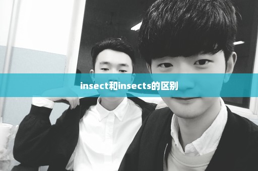 insect和insects的区别