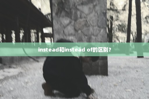 instead和instead of的区别？