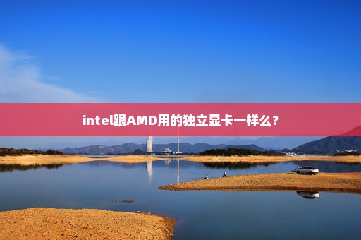 intel跟AMD用的独立显卡一样么？