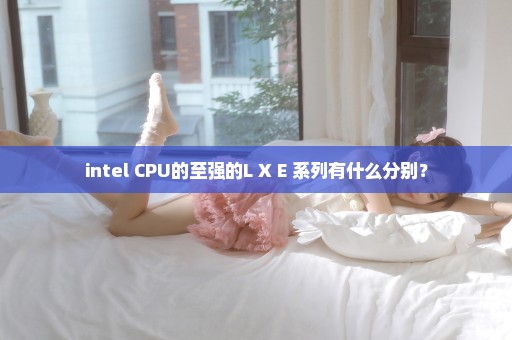 intel CPU的至强的L X E 系列有什么分别？