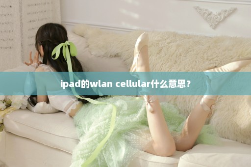 ipad的wlan+cellular什么意思？