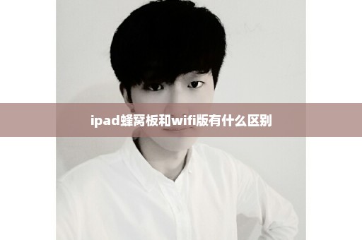 ipad蜂窝板和wifi版有什么区别