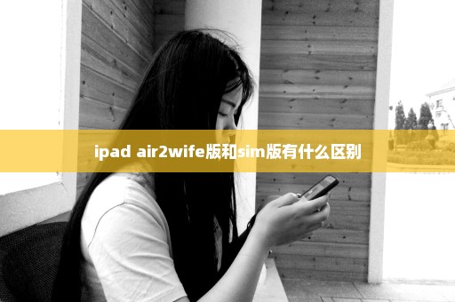 ipad air2wife版和sim版有什么区别