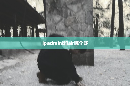 ipadmini和air哪个好