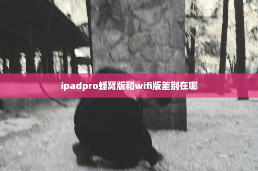 ipadpro蜂窝版和wifi版差别在哪