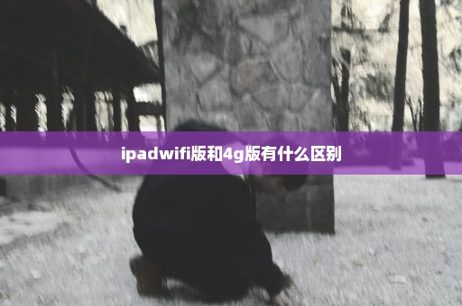 ipadwifi版和4g版有什么区别