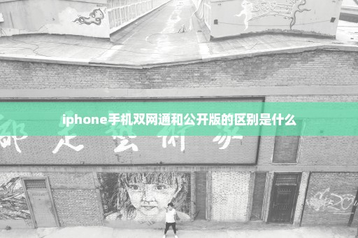 iphone手机双网通和公开版的区别是什么