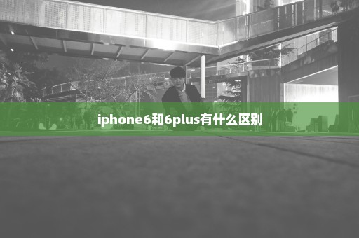 iphone6和6plus有什么区别