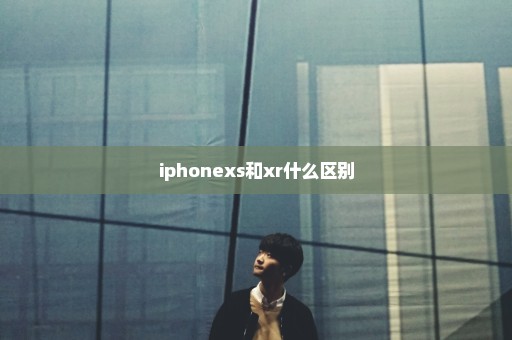 iphonexs和xr什么区别