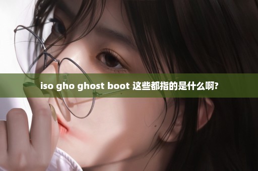 iso gho ghost boot 这些都指的是什么啊?