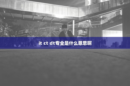 it ct dt专业是什么意思啊