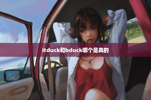 itduck和bduck哪个是真的