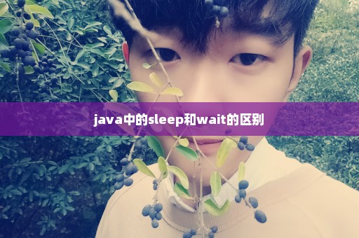 java中的sleep和wait的区别