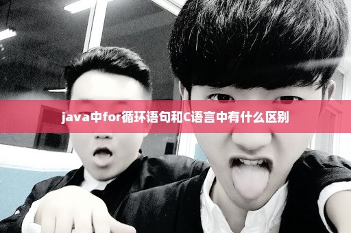 java中for循环语句和C语言中有什么区别