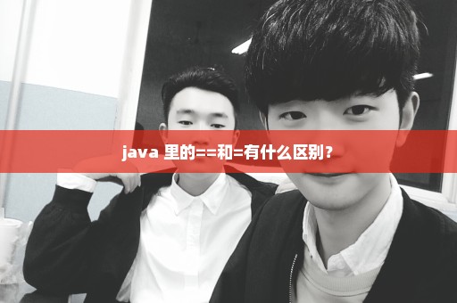 java 里的==和=有什么区别？