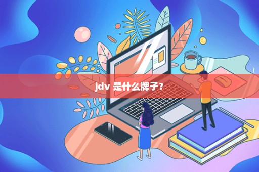 jdv 是什么牌子？