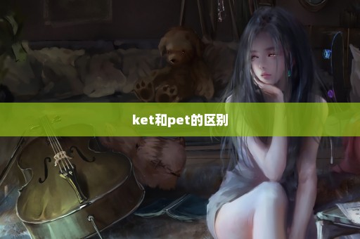 ket和pet的区别