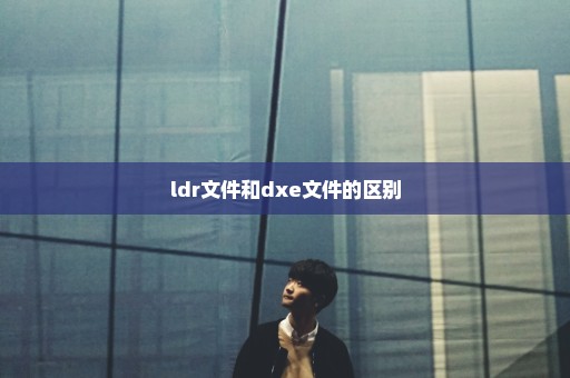 ldr文件和dxe文件的区别