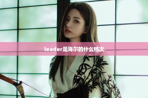 leader是海尔的什么档次