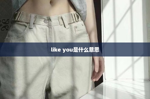 like you是什么意思