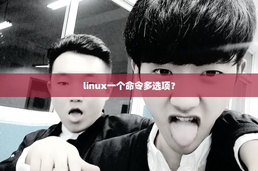 linux一个命令多选项？