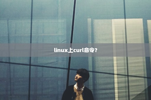 linux上curl命令？