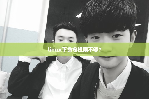 linux下命令权限不够？