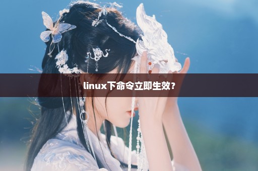 linux下命令立即生效？