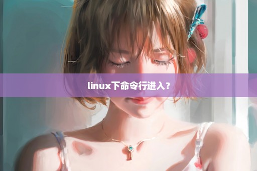 linux下命令行进入？