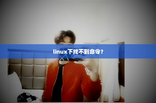 linux下找不到命令？