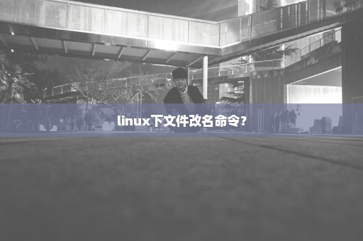 linux下文件改名命令？