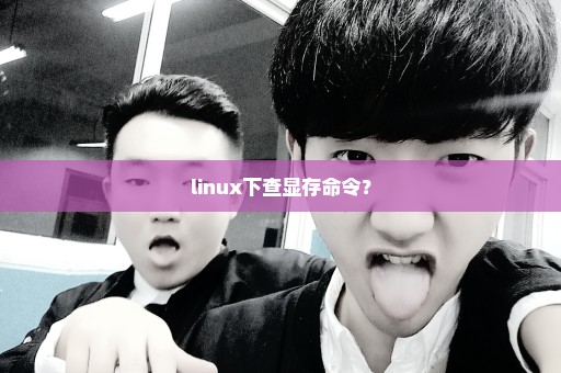 linux下查显存命令？