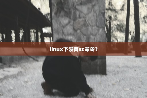 linux下没有sz命令？