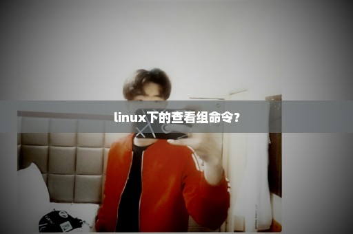 linux下的查看组命令？