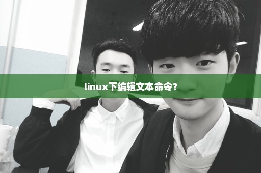 linux下编辑文本命令？