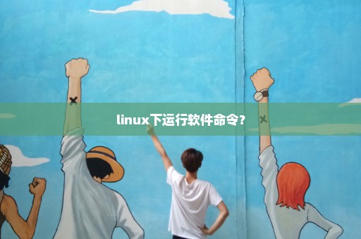 linux下运行软件命令？