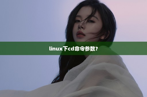 linux下cd命令参数？