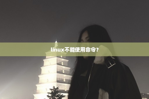 linux不能使用命令？