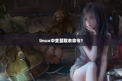 linux中变量取余命令？