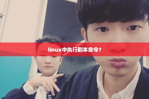 linux中执行剧本命令？